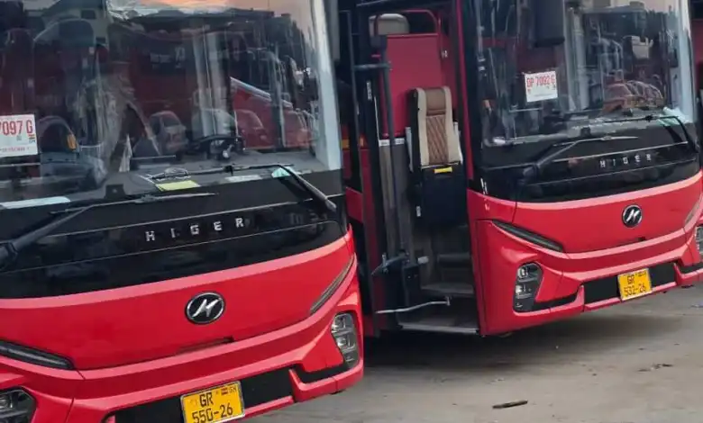 VIP Jeoun Transport Commissions 35 New Executive Buses to Boost Passenger Comfort and Safety